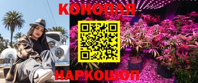 ECSTASY Донской