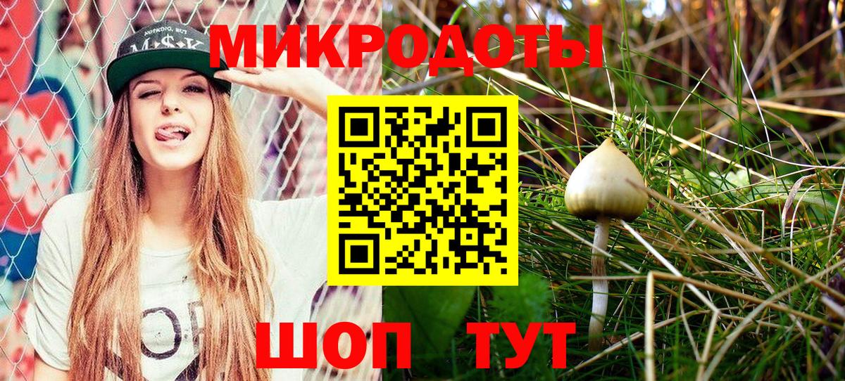 Назарово  Псилоцибиновые грибы Psilocybe  Вход с VPN 